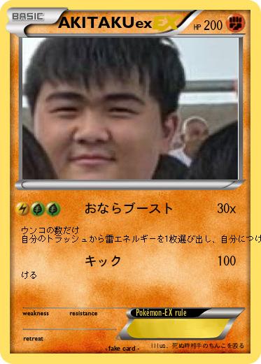 Pokemon AKITAKUex