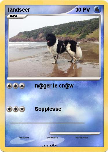 Pokemon landseer
