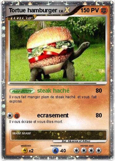 Pokemon Tortue hamburger