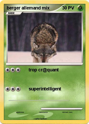 Pokemon berger allemand mix