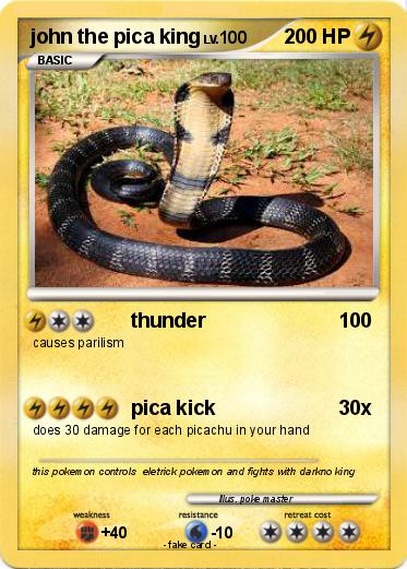 Pokemon john the pica king