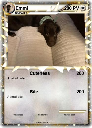 Pokemon Emmi