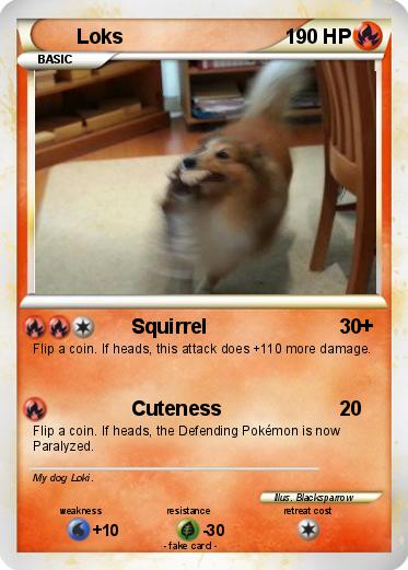 Pokemon Loks