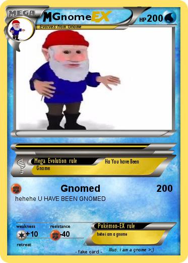 Pokemon Gnome