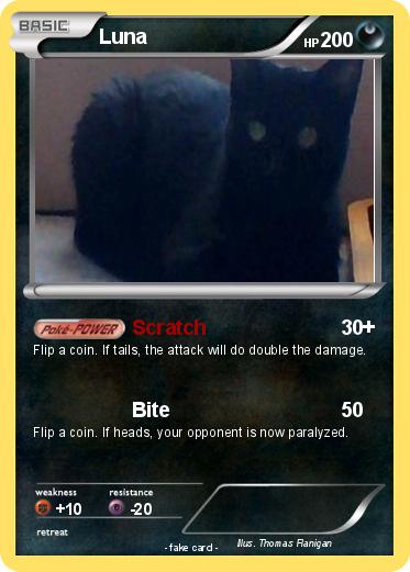 Pokemon Luna