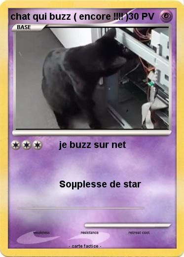 Pokemon chat qui buzz ( encore !!!! )
