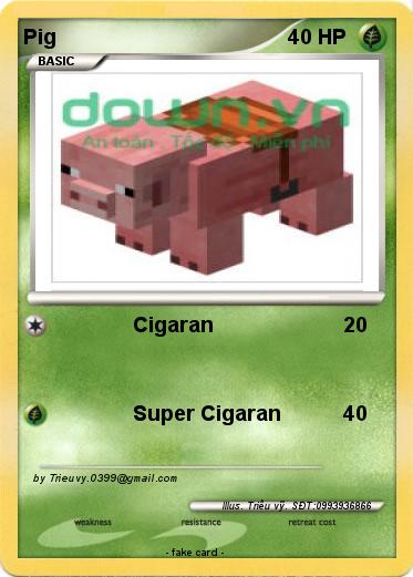 Pokemon Pig