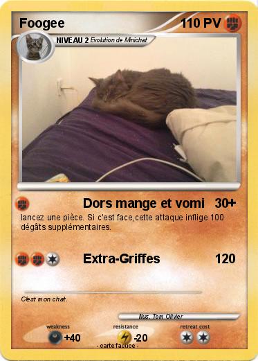 Pokemon Foogee