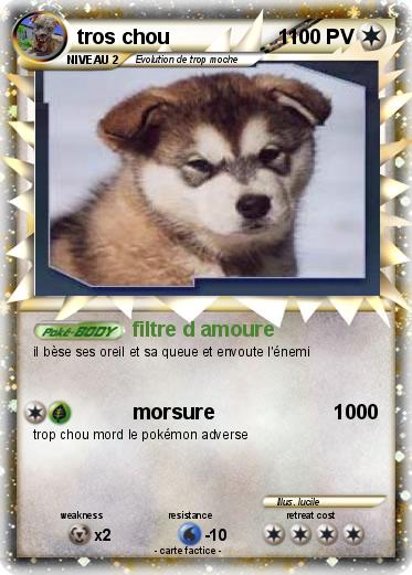 Pokemon tros chou                   1