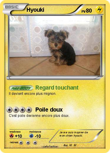 Pokemon Hyouki