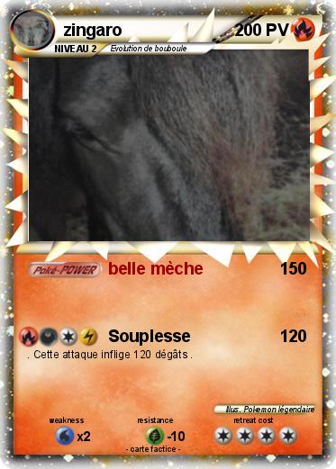 Pokemon zingaro