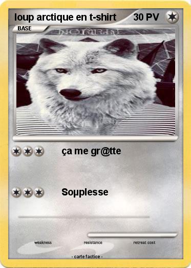 Pokemon loup arctique en t-shirt