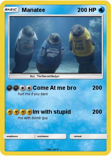 Pokemon Manatee