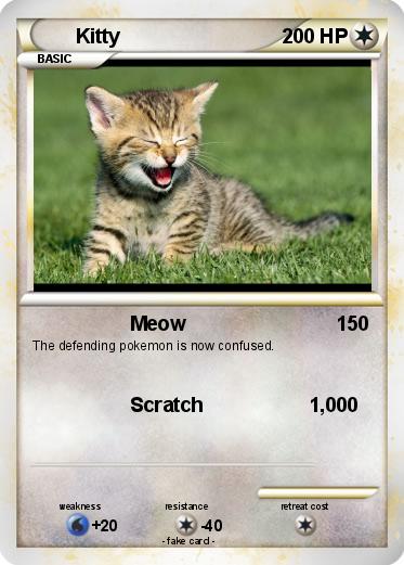 Pokemon Kitty