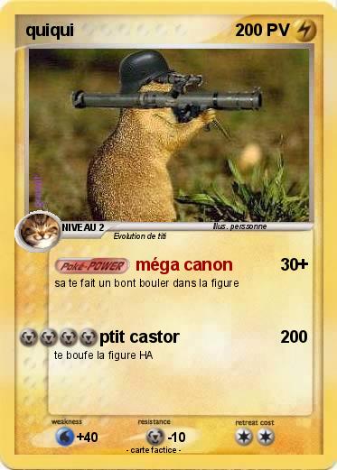 Pokemon quiqui