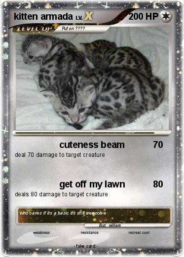 Pokemon kitten armada