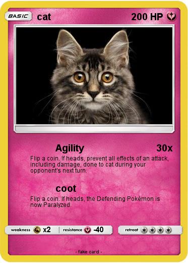 Pokemon cat