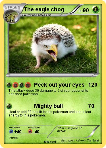 Pokemon The eagle chog
