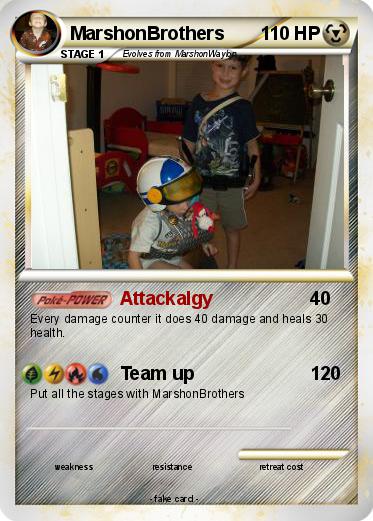 Pokemon MarshonBrothers