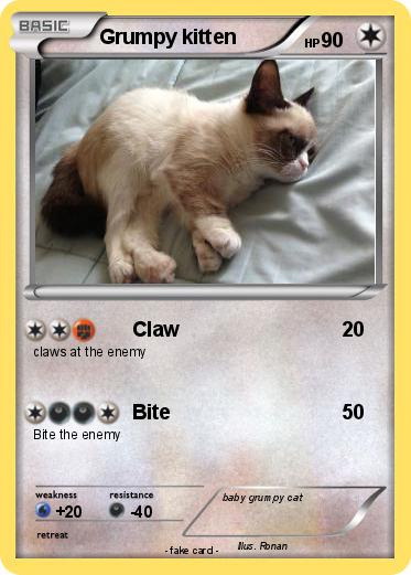 Pokemon Grumpy kitten