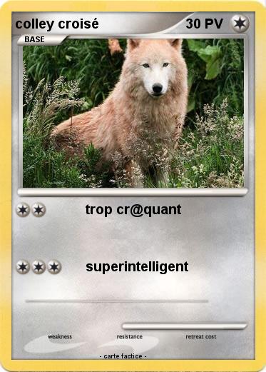 Pokemon colley croisé