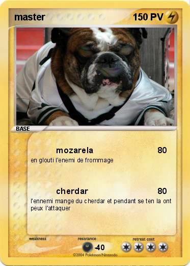 Pokemon master
