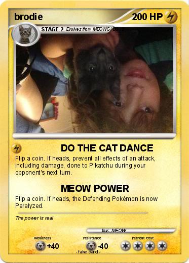 Pokemon brodie