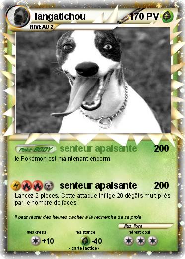 Pokemon langatichou
