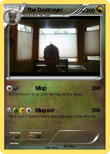 Pokemon The Destroyer
