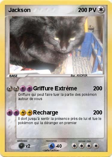 Pokemon Jackson