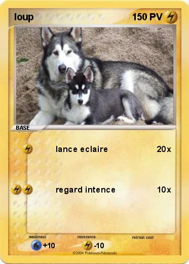 Pokemon loup