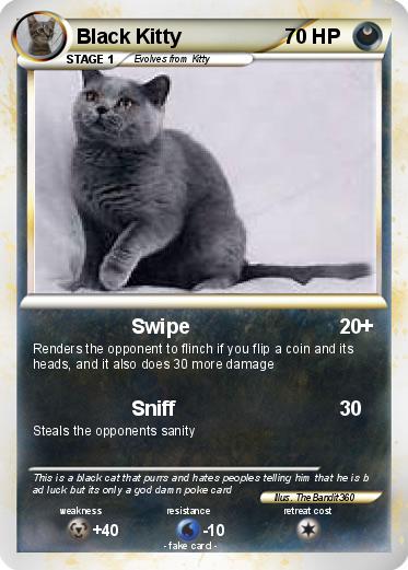Pokemon Black Kitty