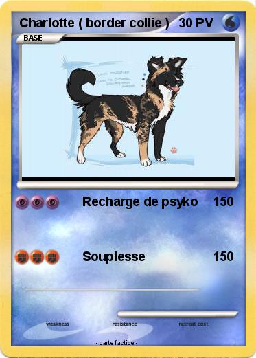 Pokemon Charlotte ( border collie )