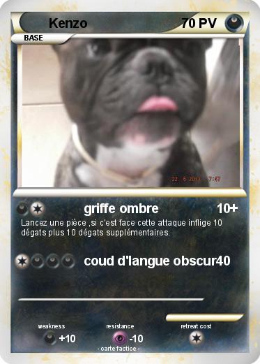 Pokemon Kenzo