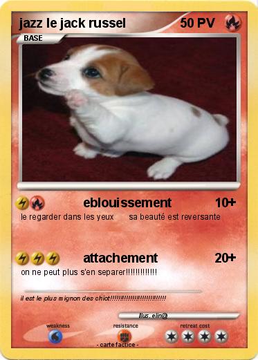 Pokemon jazz le jack russel