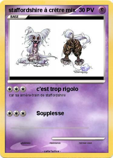 Pokemon staffordshire à crêtre mix