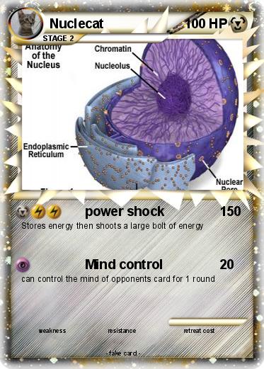 Pokemon Nuclecat