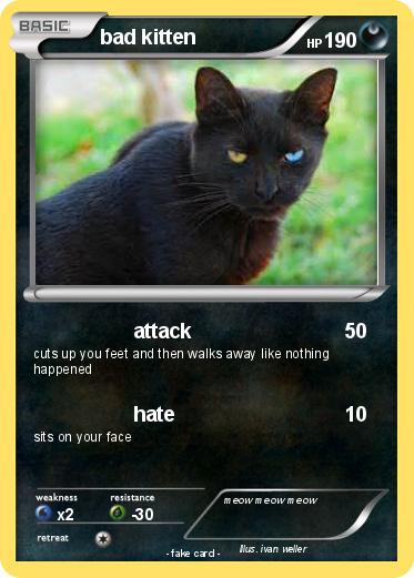 Pokemon bad kitten