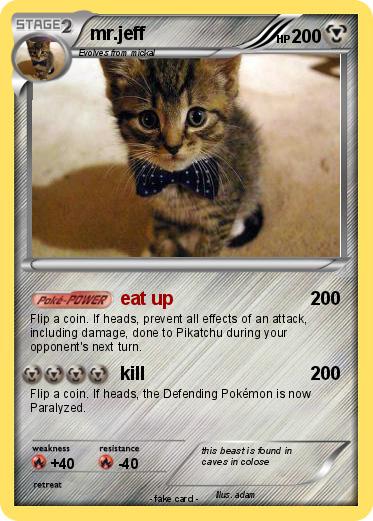 Pokemon mr.jeff