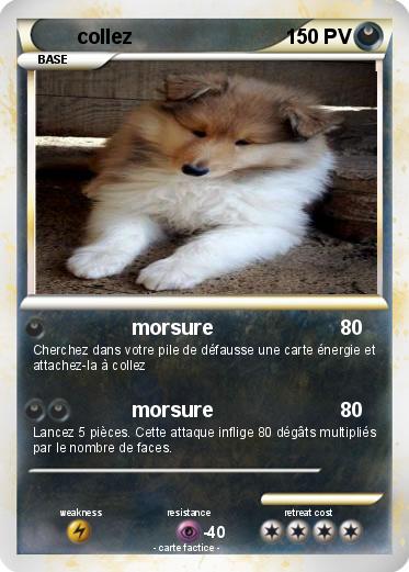 Pokemon collez