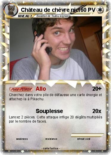 Pokemon Château de chèvre nie