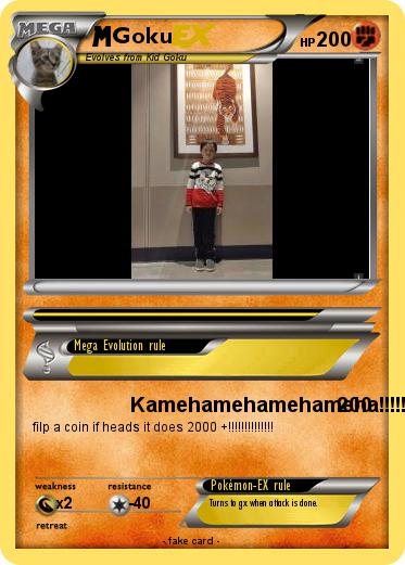 Pokemon Goku