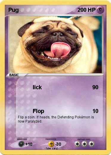 Pokemon Pug