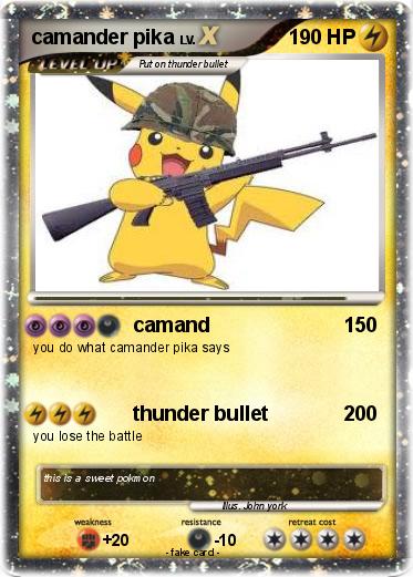 Pokemon camander pika