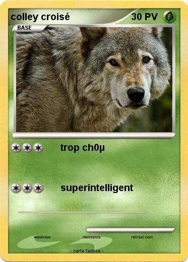 Pokemon colley croisé