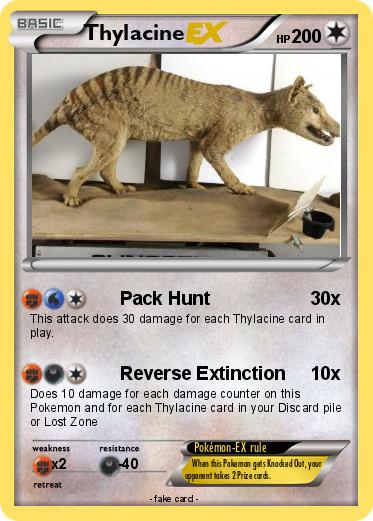 Pokemon Thylacine