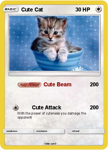 Pokemon Cute Cat