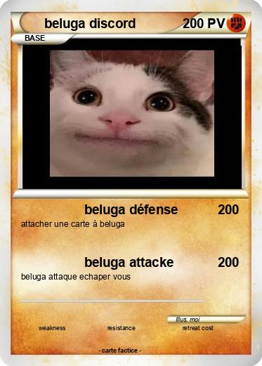 Pokemon beluga discord
