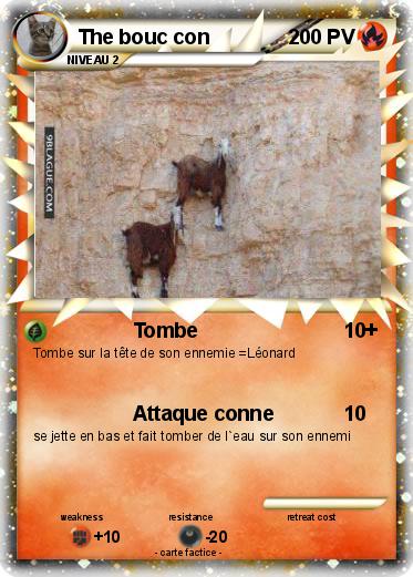 Pokemon The bouc con