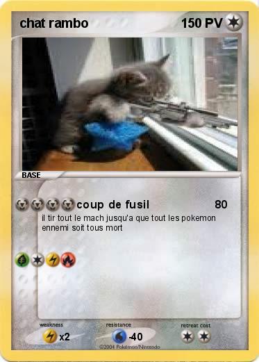 Pokemon chat rambo